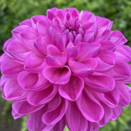 Marta HA Rezervēts!!!